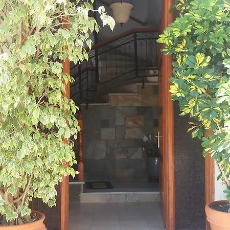 阿里斯酒店 迈索尼