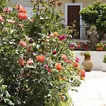 Hotel Aris Methoni (Messenia)